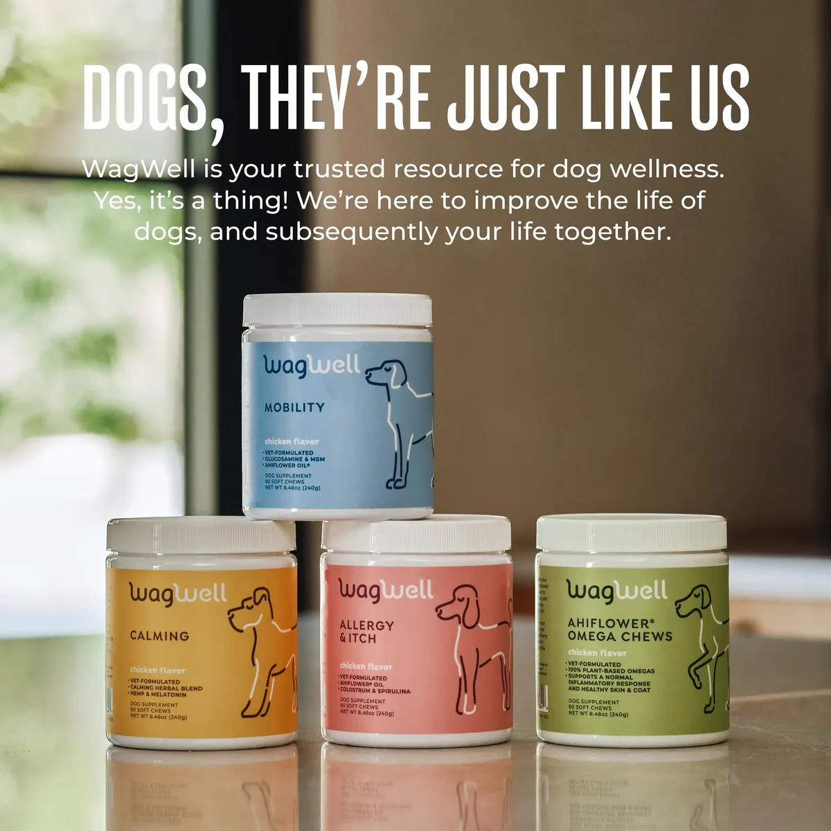 The WagWell range of four dog supplements beside the words Dogs, they're just like us.